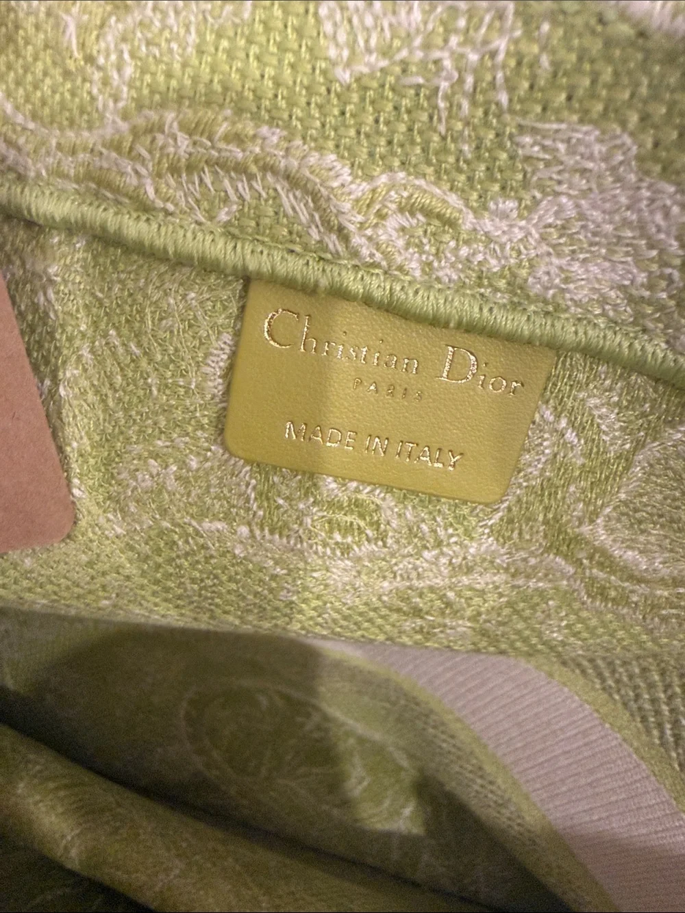 Dior Riviera Medium Book Tote Green  Limited Edition Toile de Jouy Canvas NWT